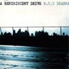 N.Y.C Dharma Revisited 12Ò’ N.Y.C Dharma Revisited 12Ò’